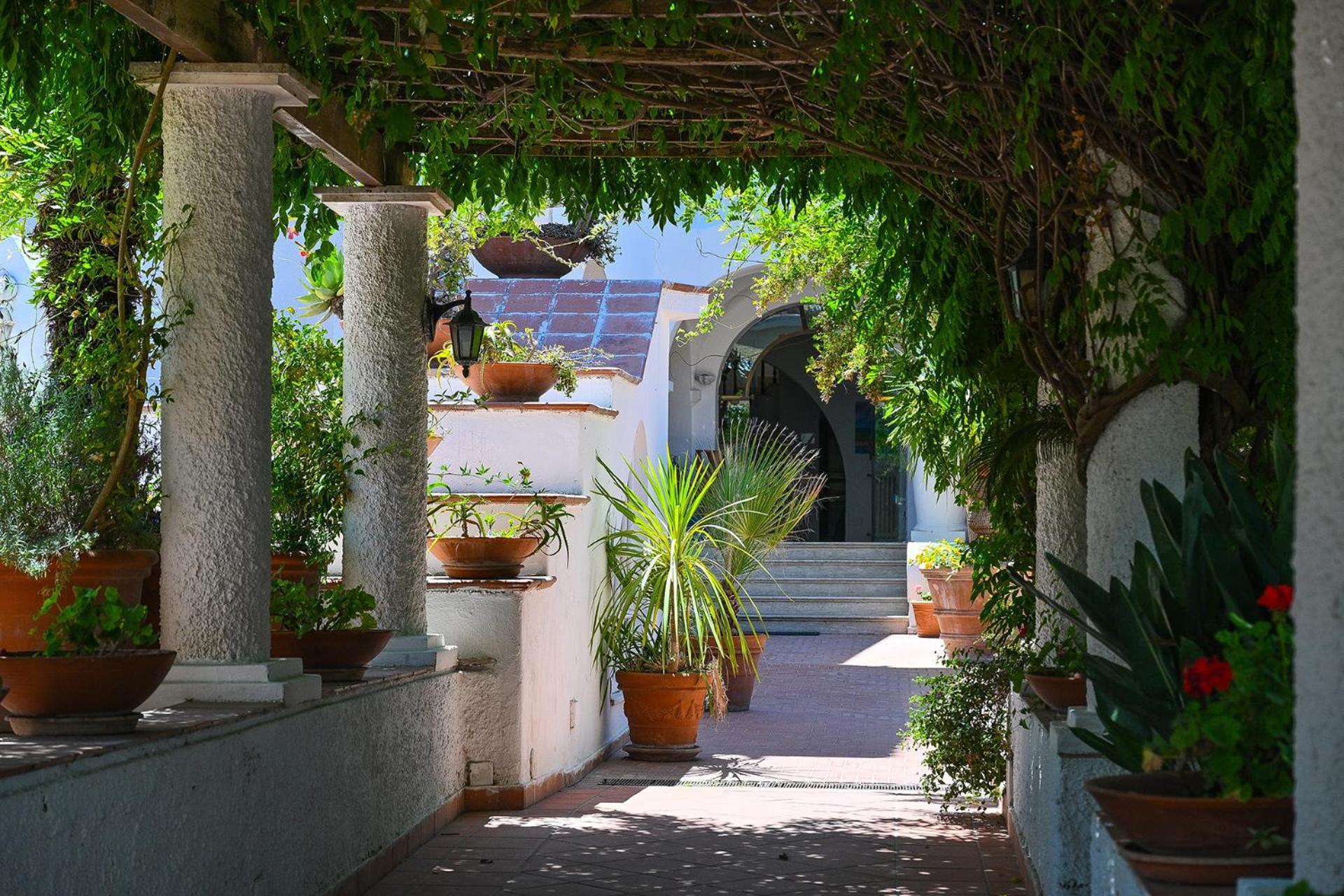 Forio di Ischia Av Club Terme Colella酒店 外观 照片