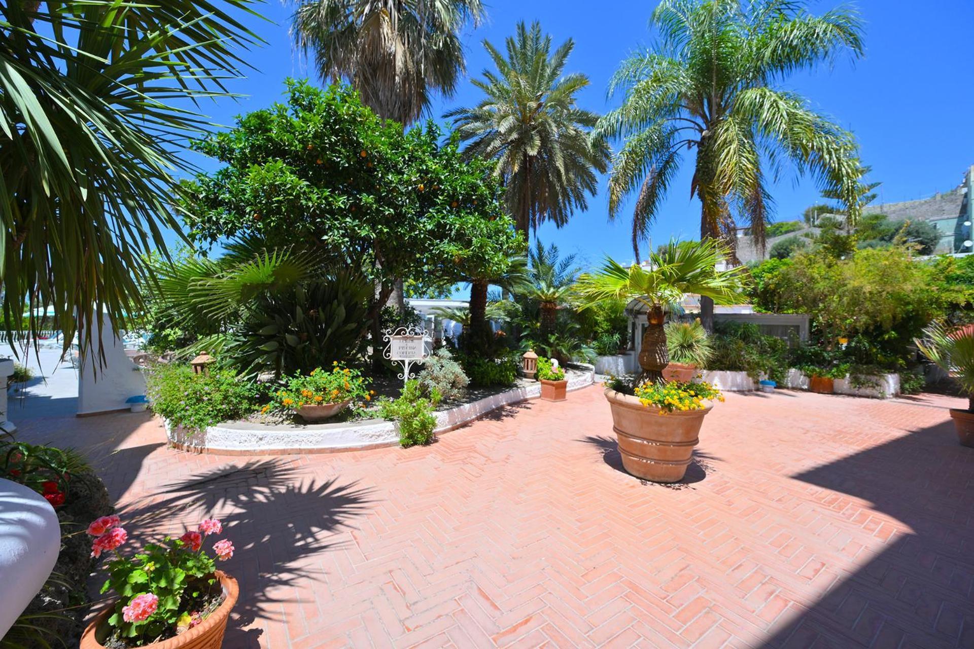 Forio di Ischia Av Club Terme Colella酒店 外观 照片